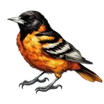 quick curriculum viate of Spyros who works as Lead Software Engineer